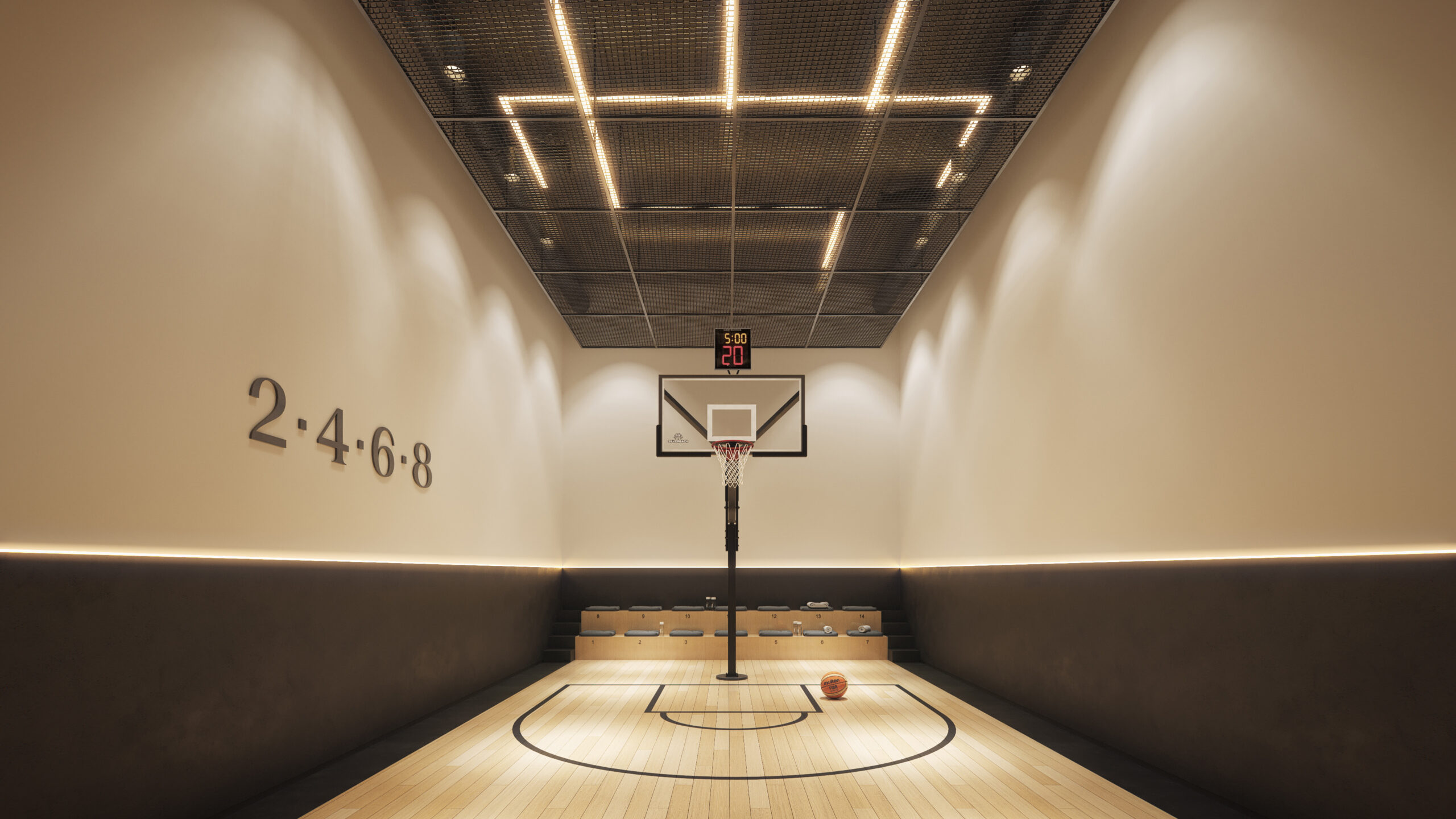 einstein-2-basketball-c01-wide_0 (1)